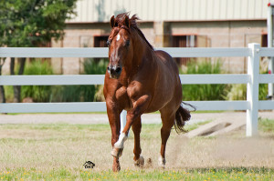 Cody Running