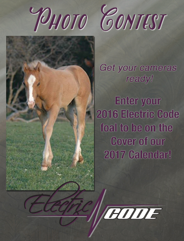 Electric Code Photo Contest